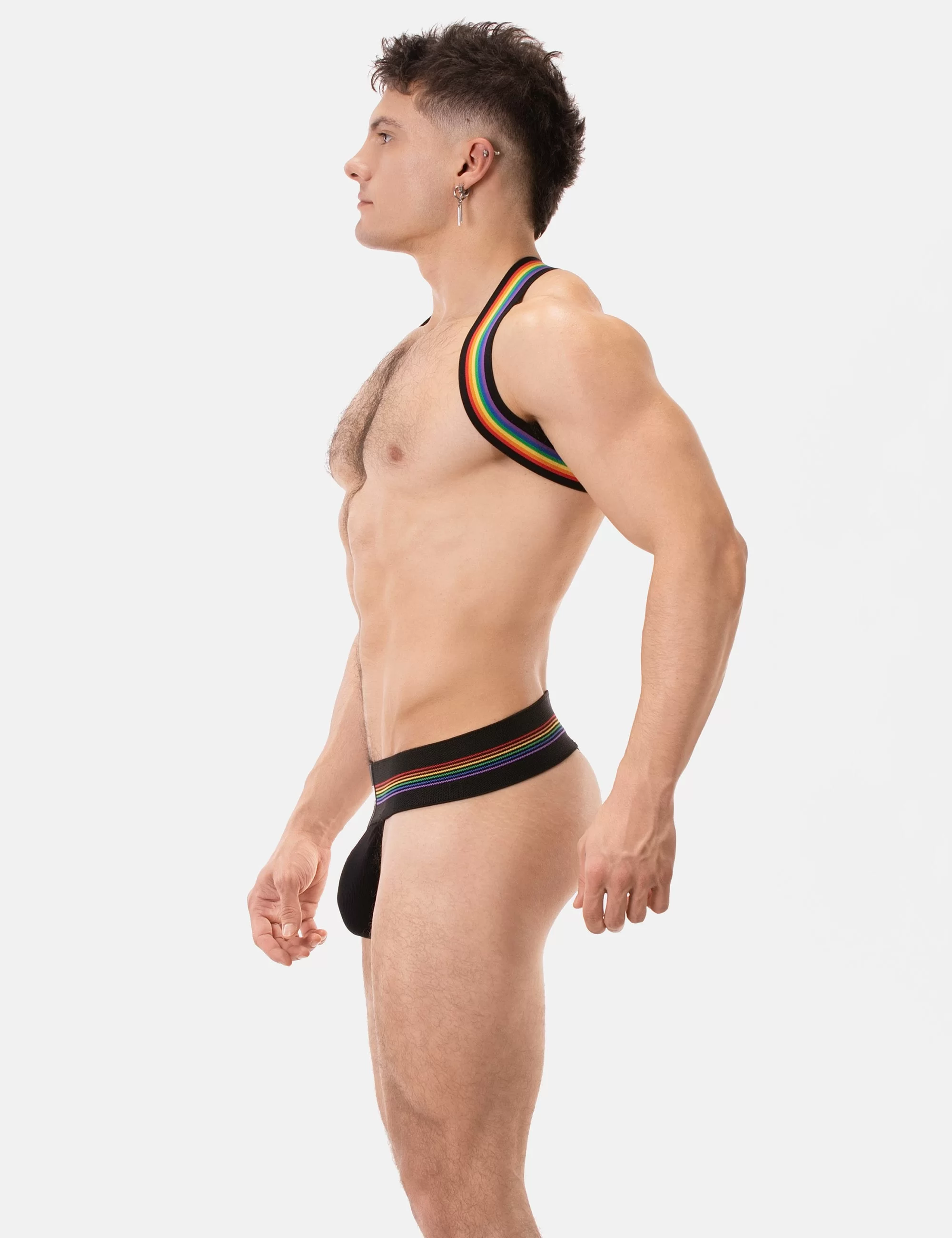Harness Pride Eternity - Black