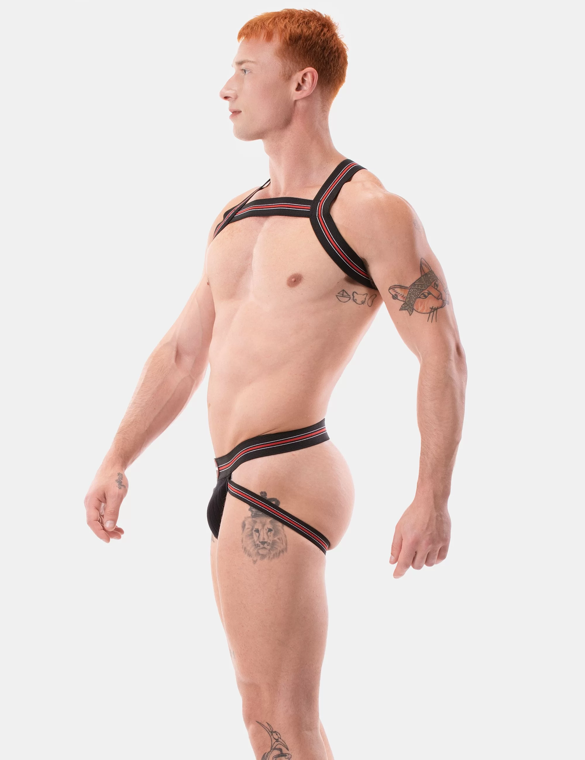 Harness Hapero - Black-White-Red
