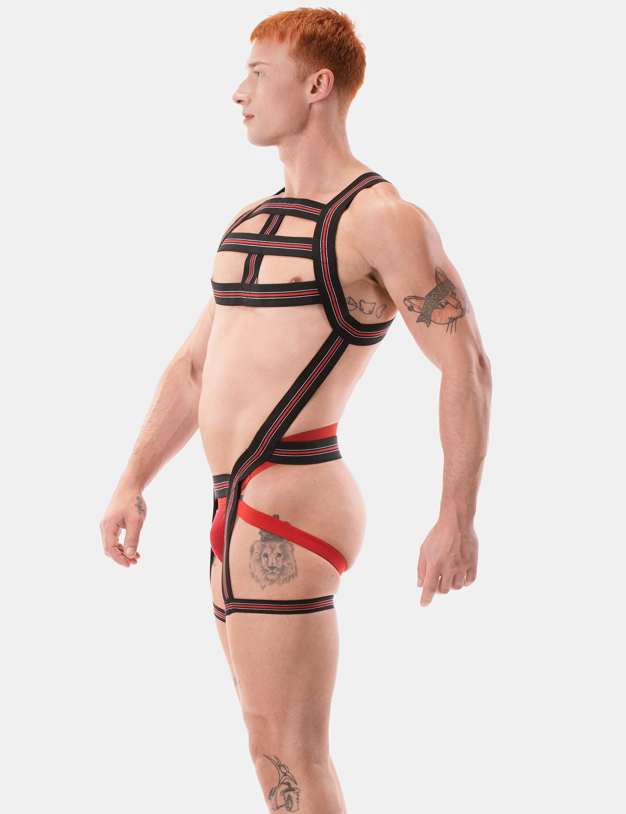 Harness Jaro - Black-White-Red