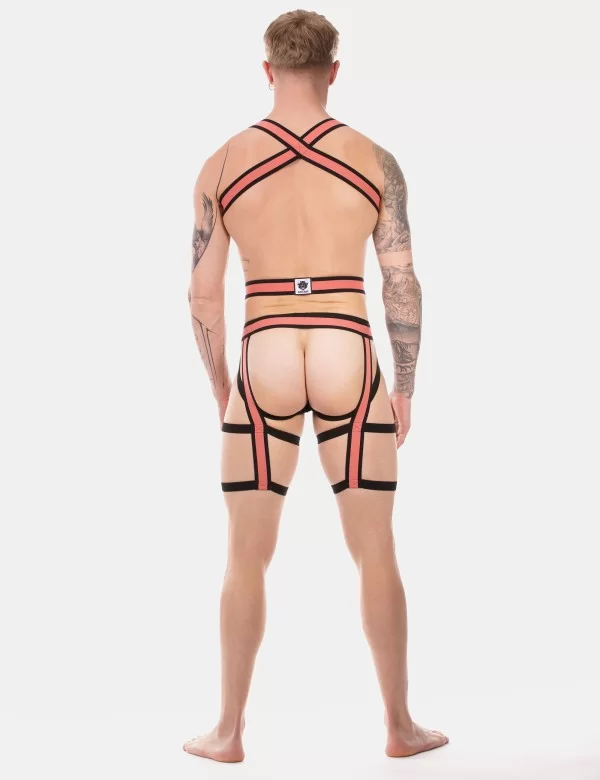 Harness Duo Javed - Apricot-Black