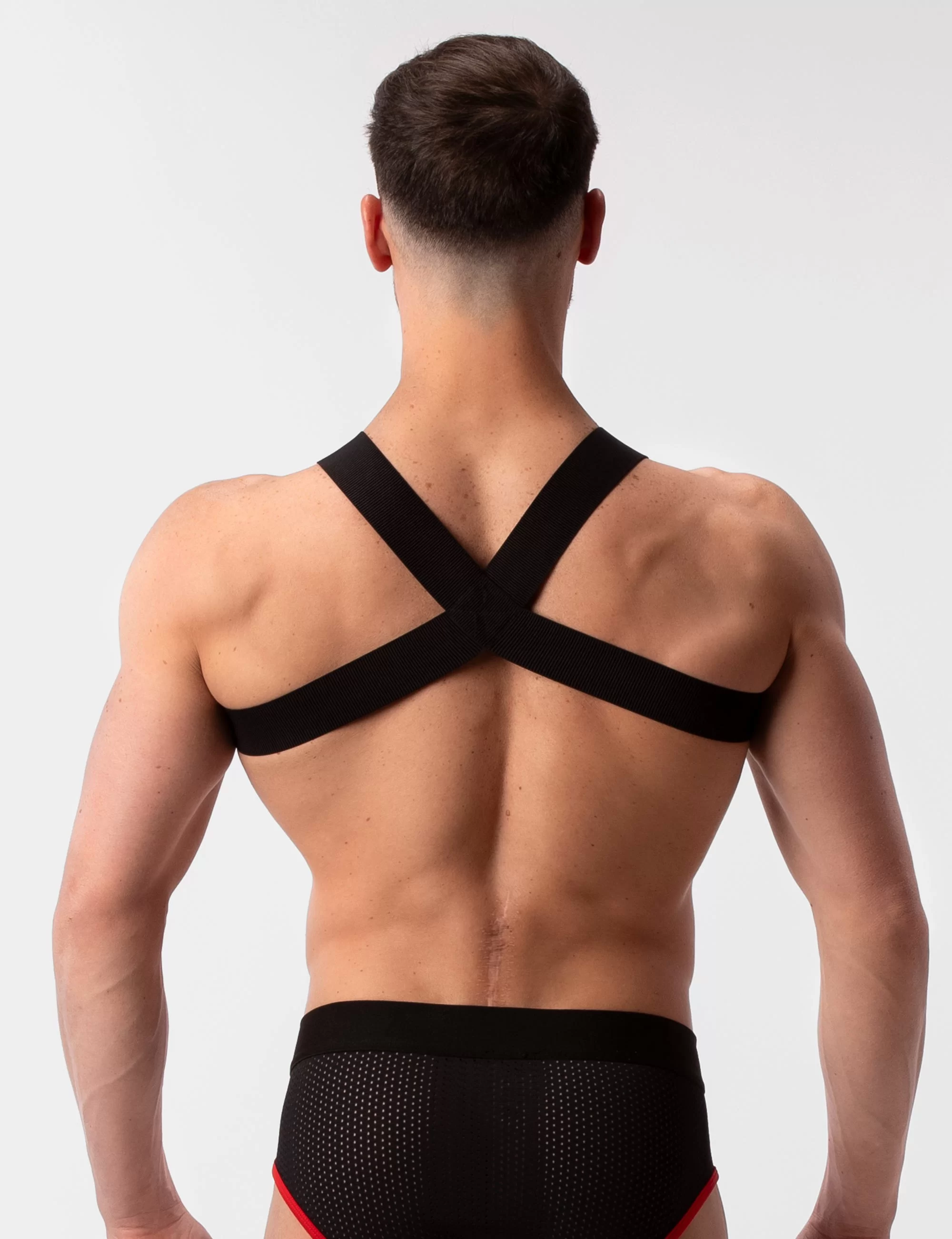 Harness Leonsh - Black