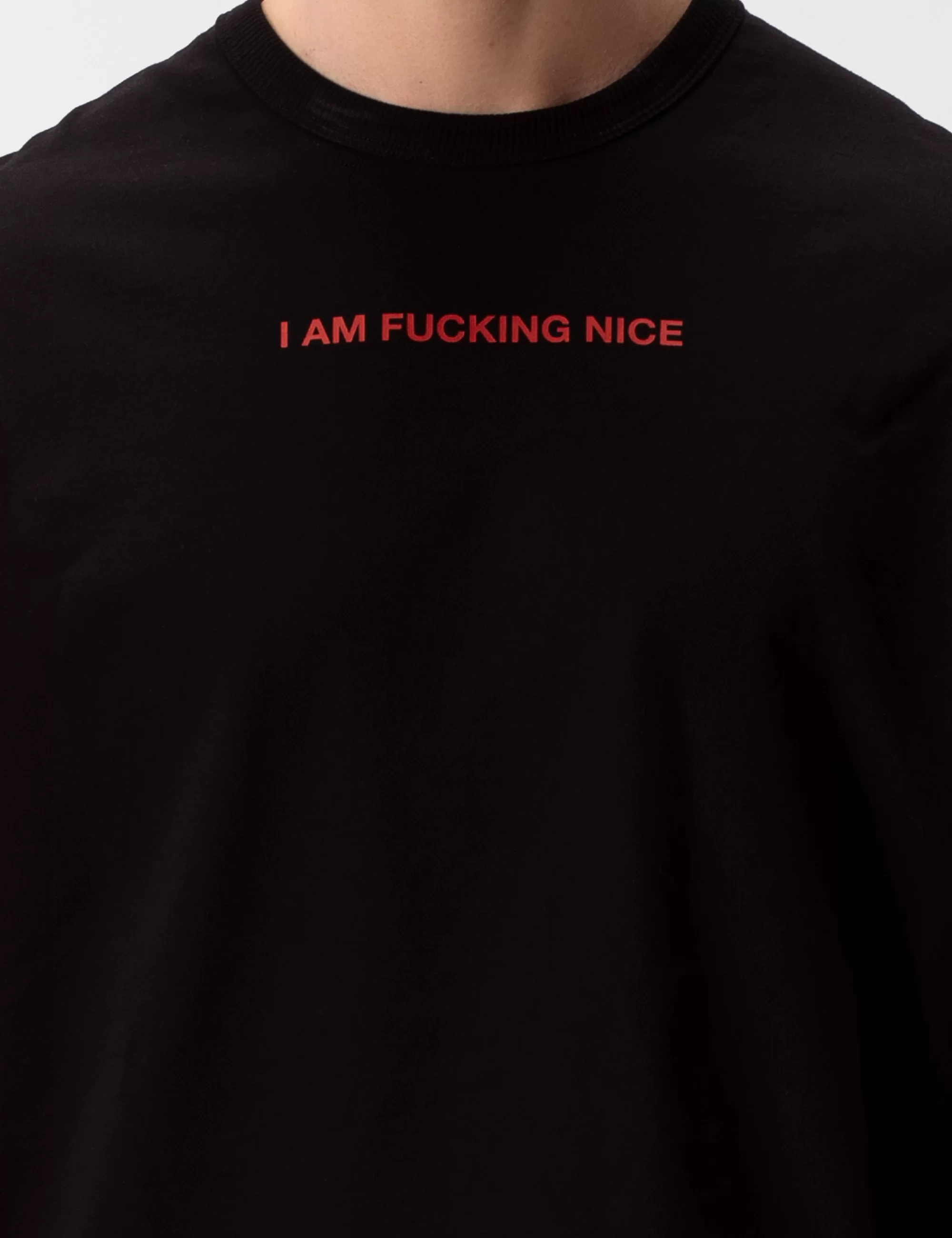 Heavy T-shirt I'm Fucking Nice - Black