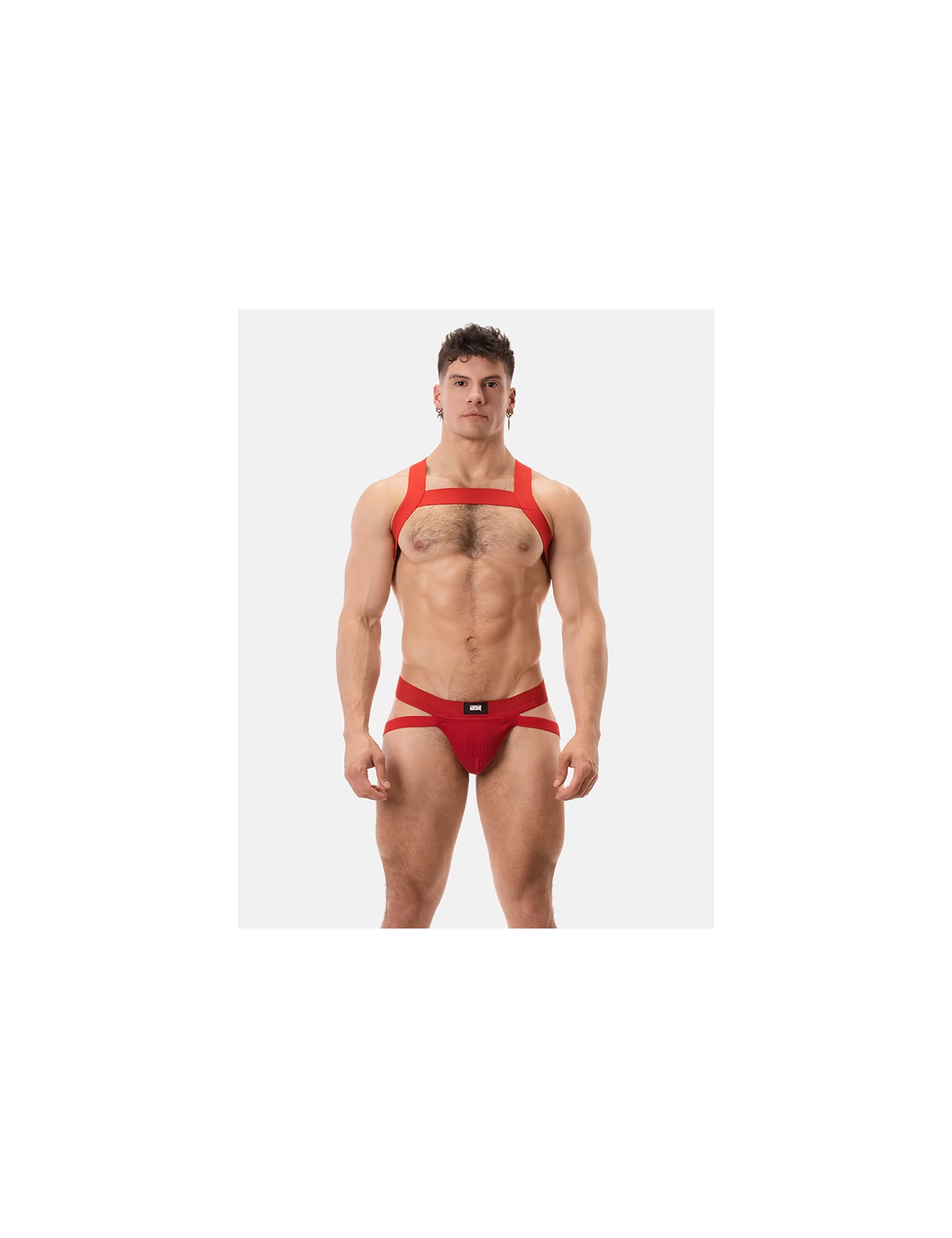 Harness Matt - Red