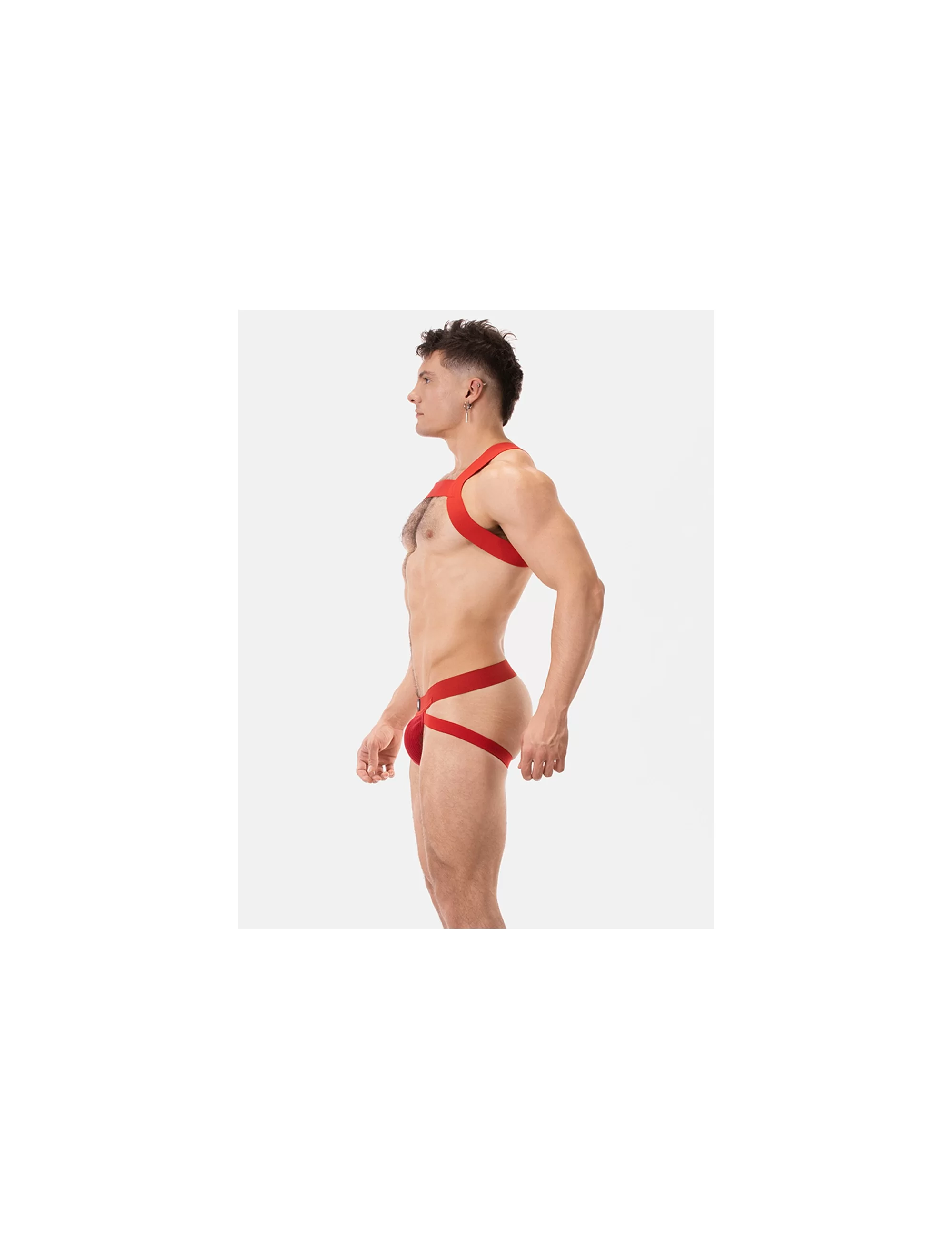 Harness Matt - Red