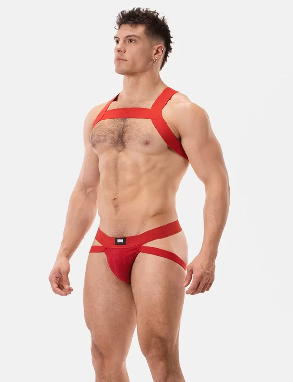 Harness Matt - Red