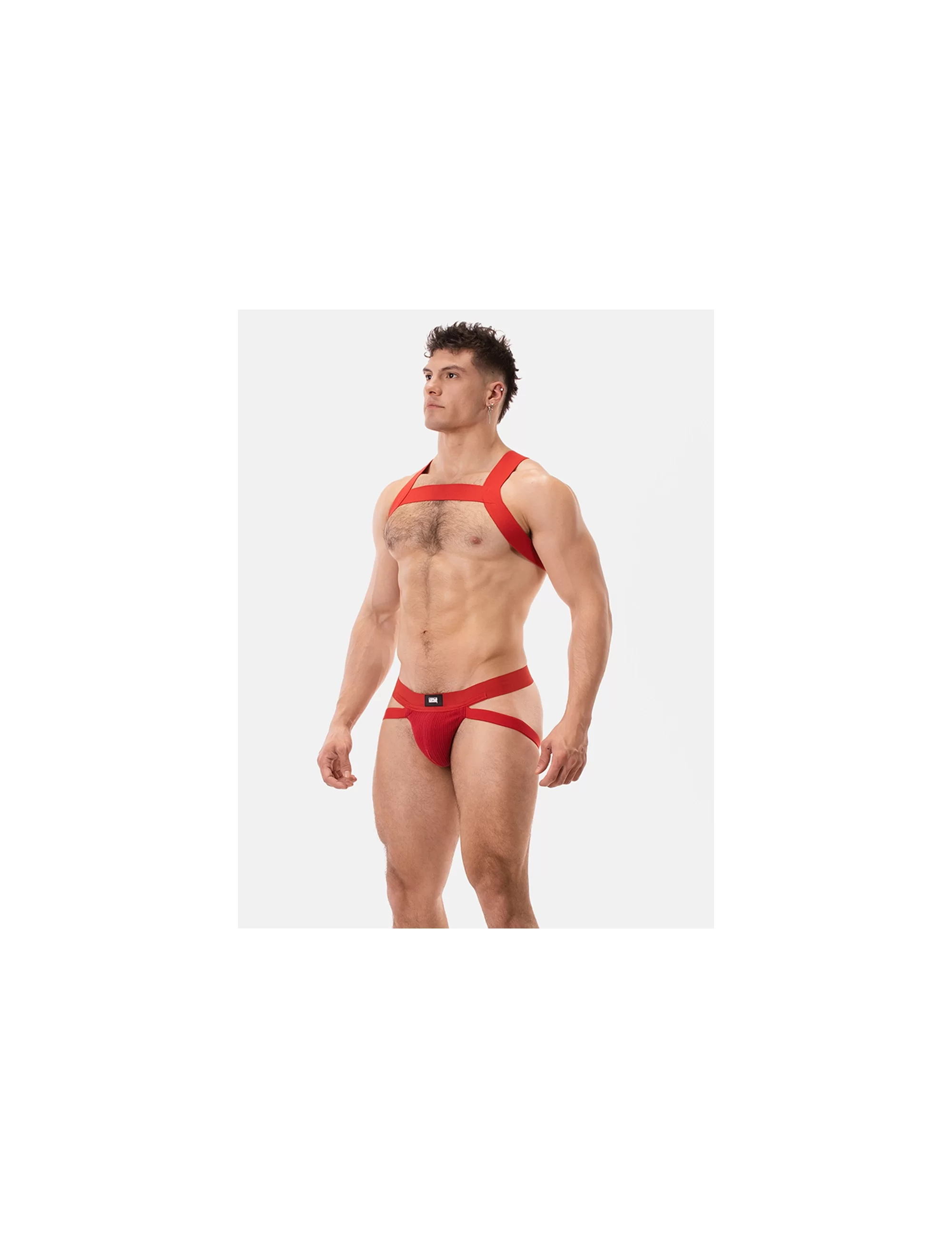 Harness Matt - Red