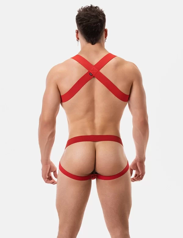 Harness Matt - Red
