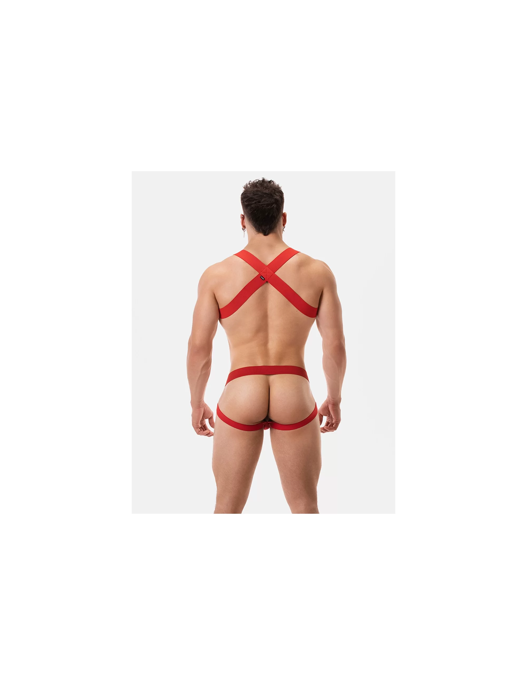Harness Matt - Red