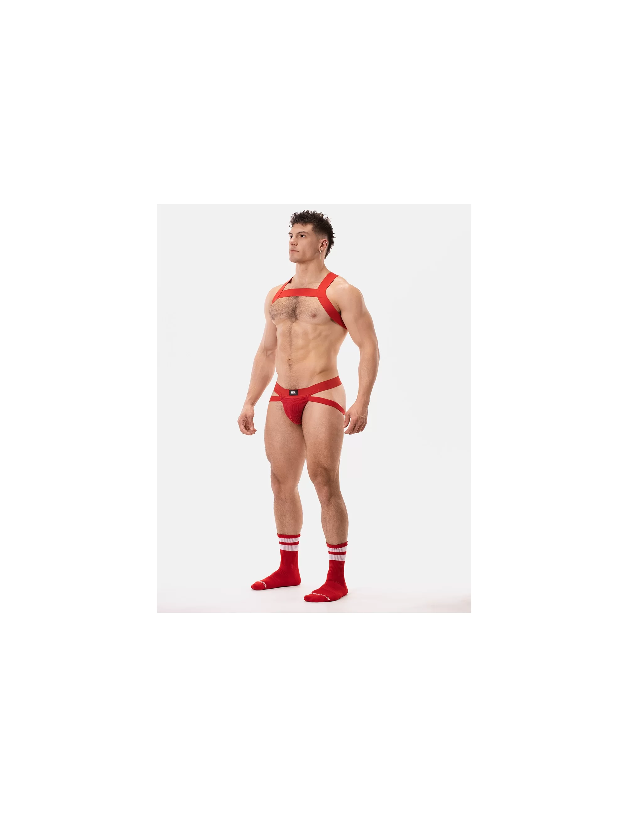 Harness Matt - Red