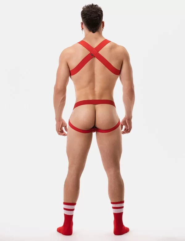 Harness Matt - Red