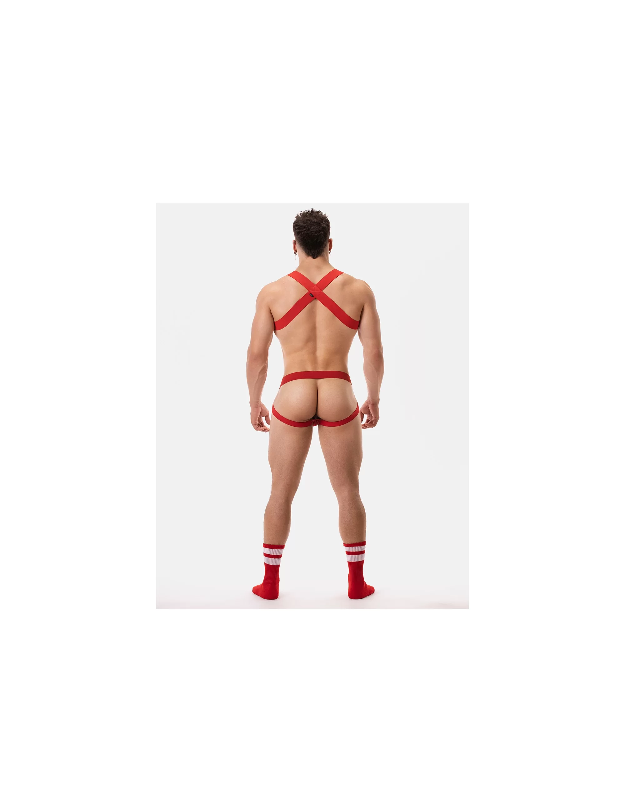 Harness Matt - Red