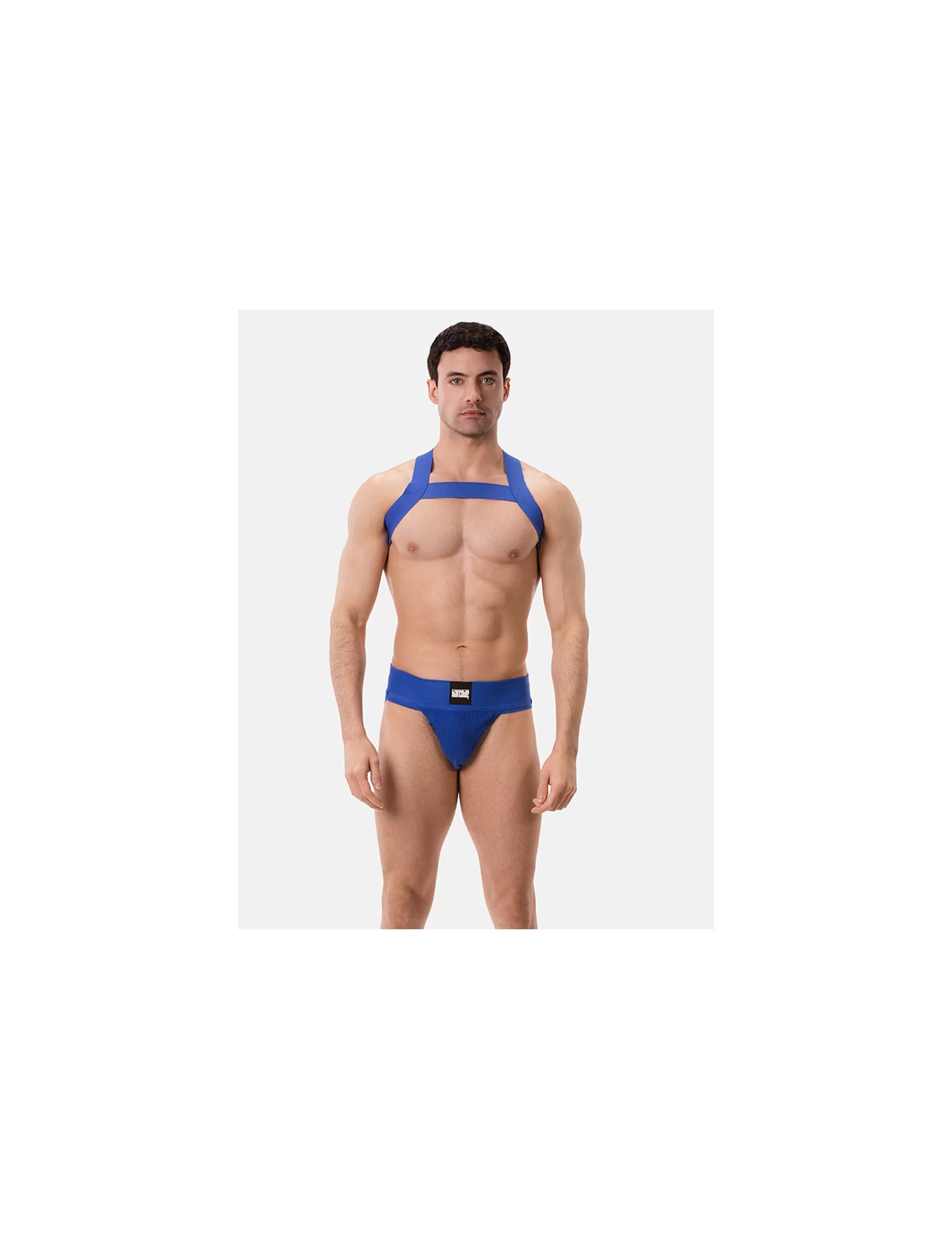 Harness Matt - Royal
