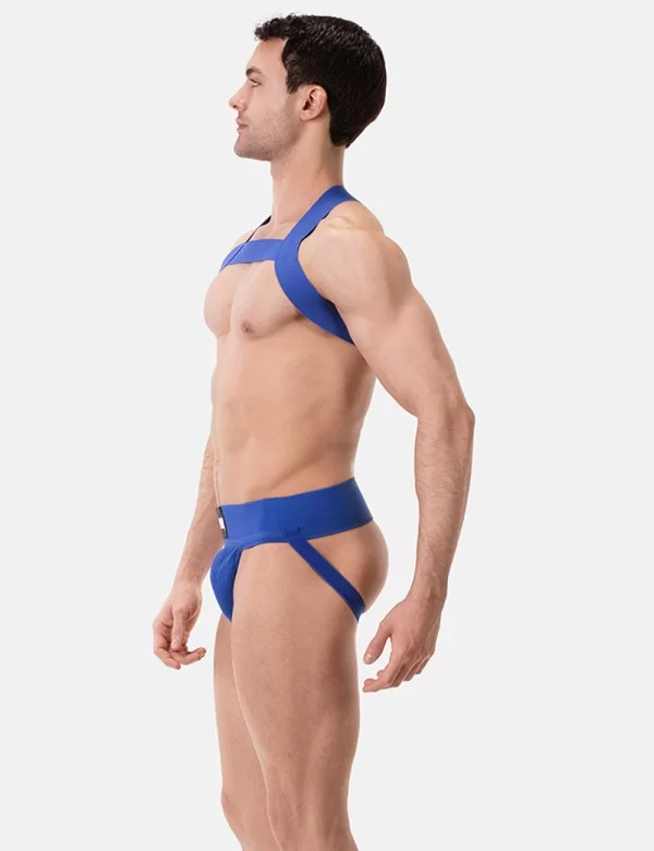 Harness Matt - Royal