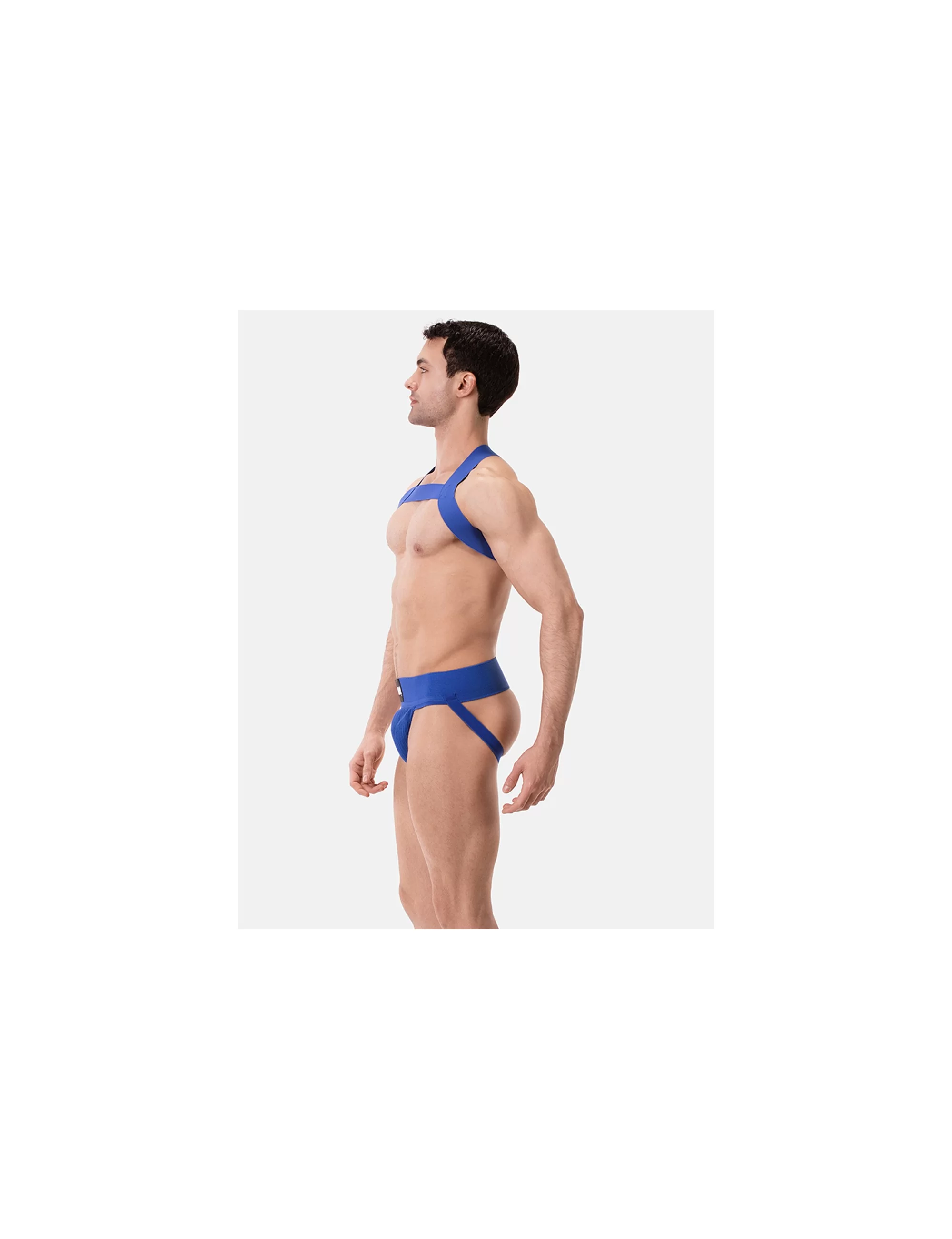 Harness Matt - Royal