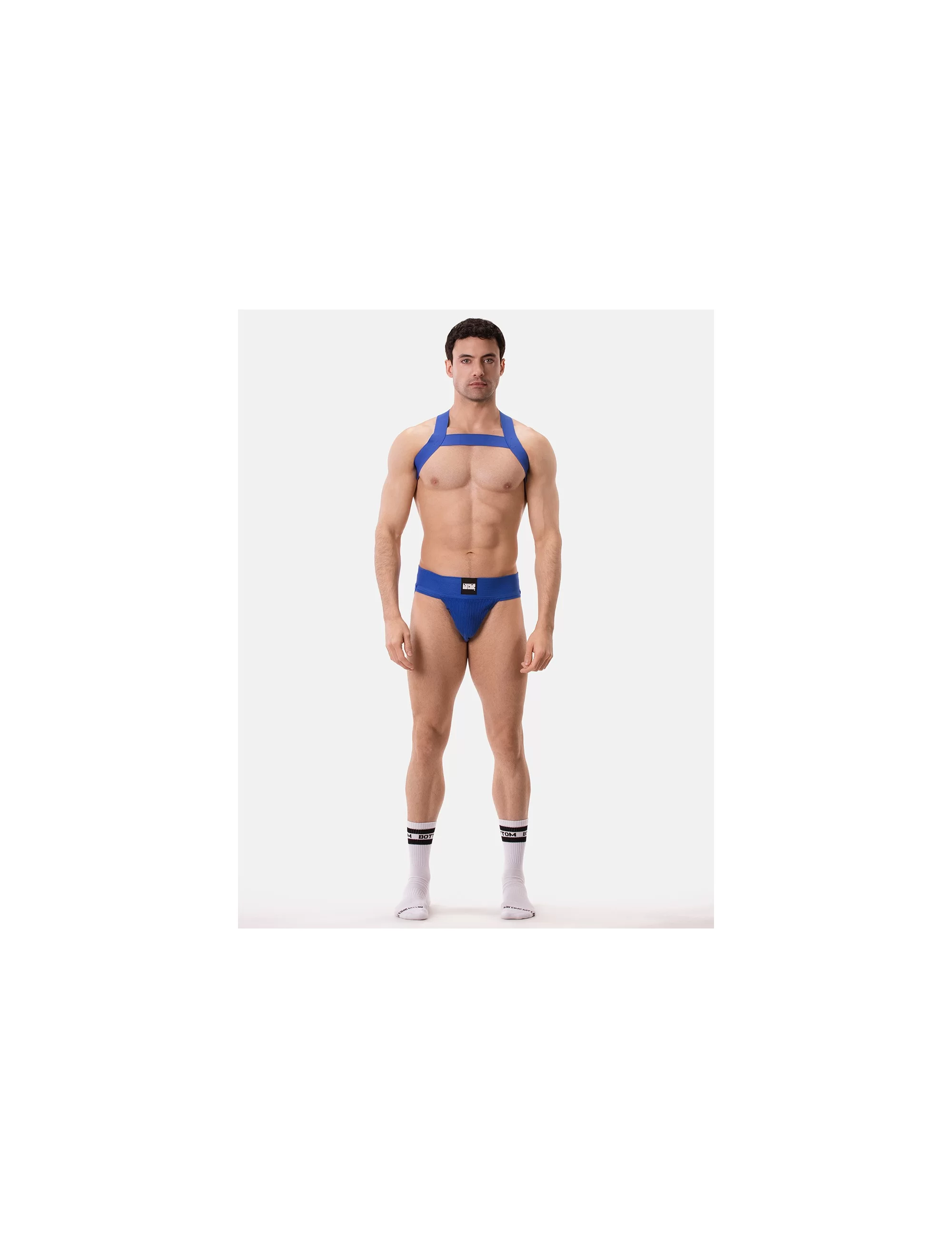 Harness Matt - Royal