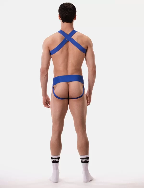 Harness Matt - Royal