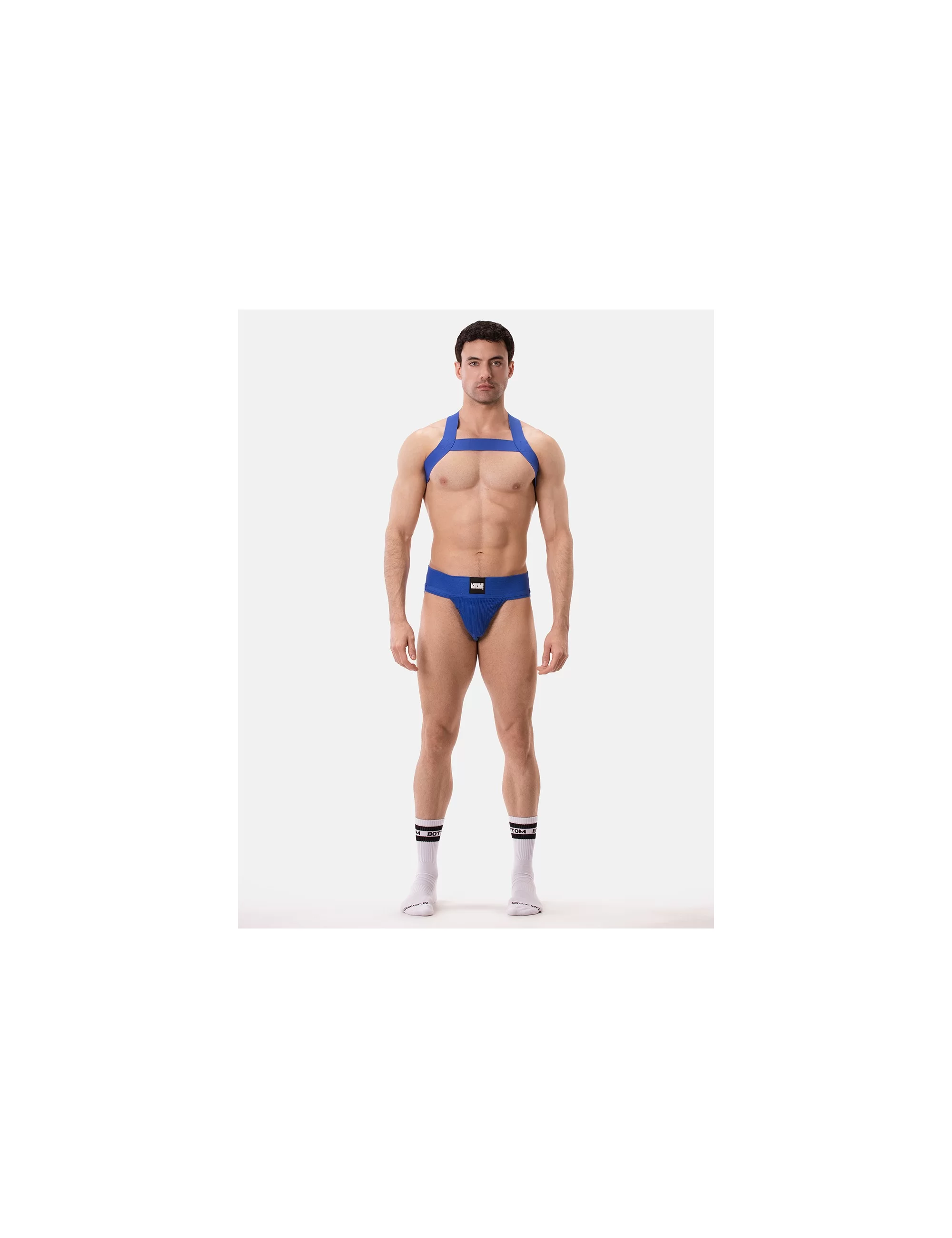 Harness Matt - Royal