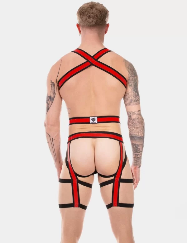 Harness Duo Javed - Red-Black