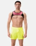 Neongreen Neonpink