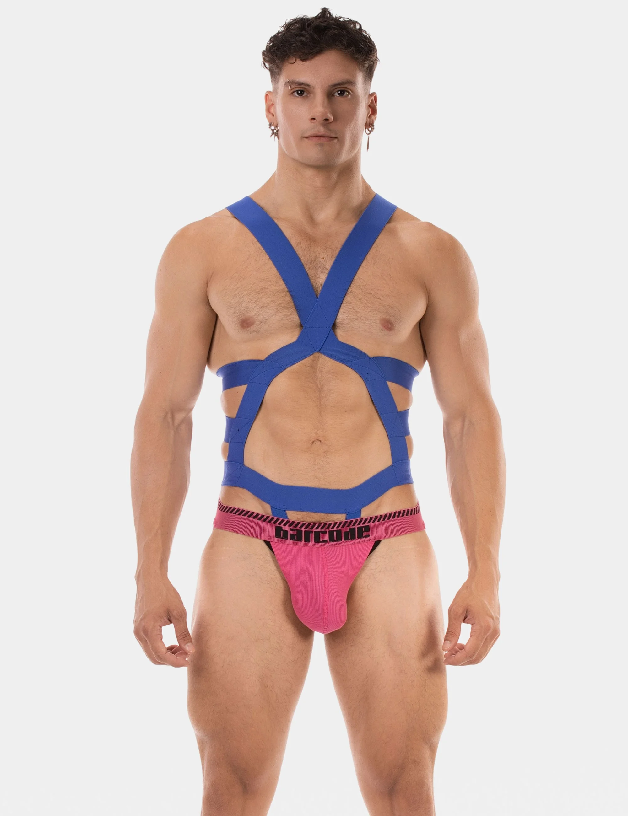 Harness Elon - Royal