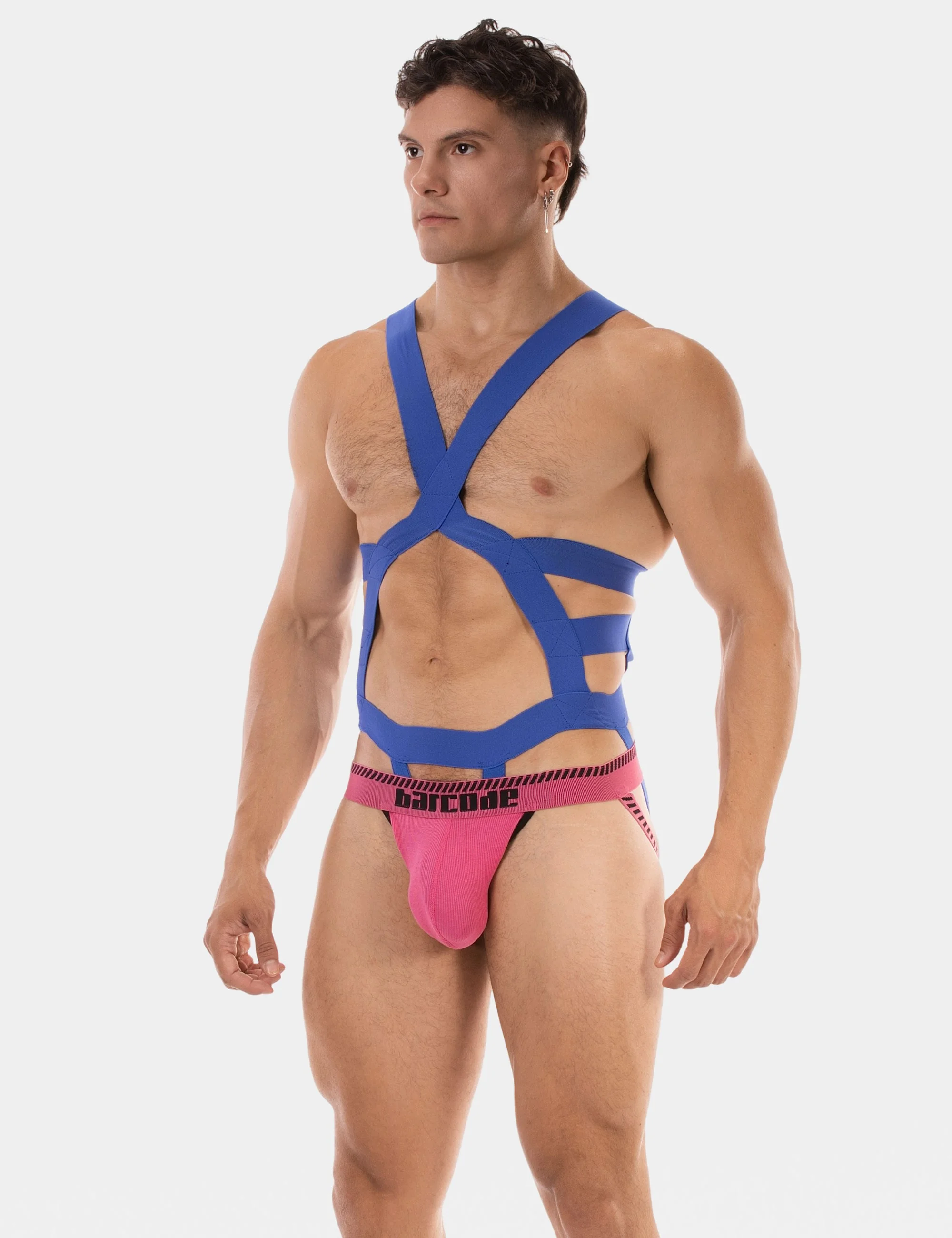 Harness Elon - Royal
