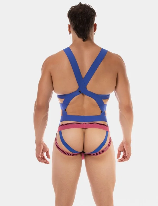 Harness Elon - Royal