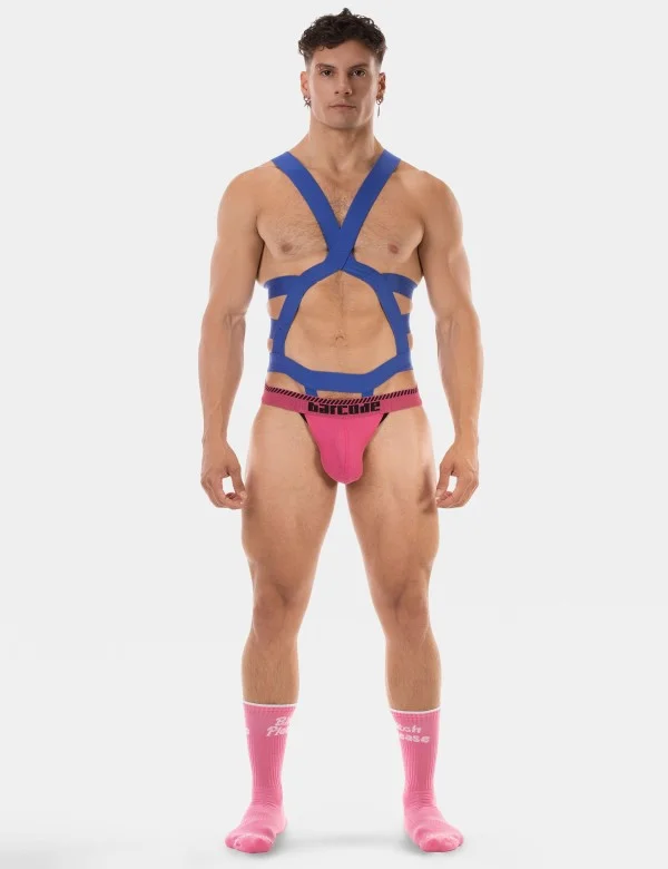 Harness Elon - Royal