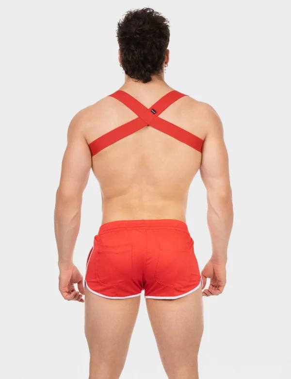 Harness Everette - Red