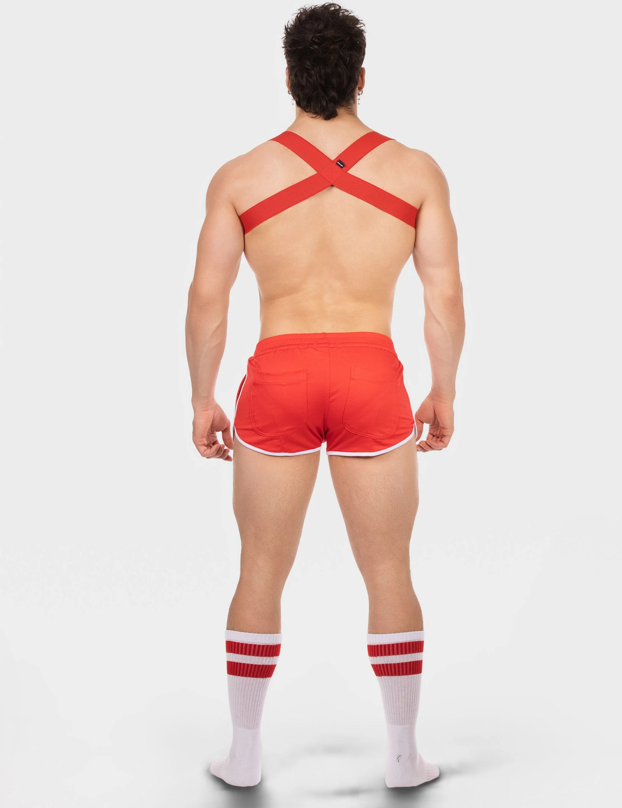 Harness Everette - Red
