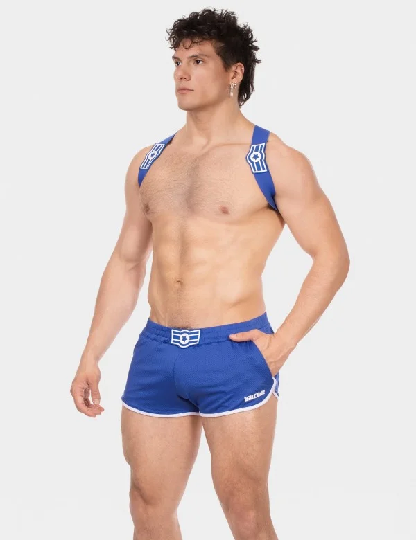 Harness Everette - Royal