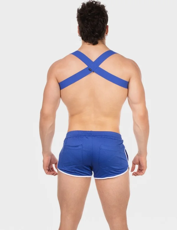 Harness Everette - Royal