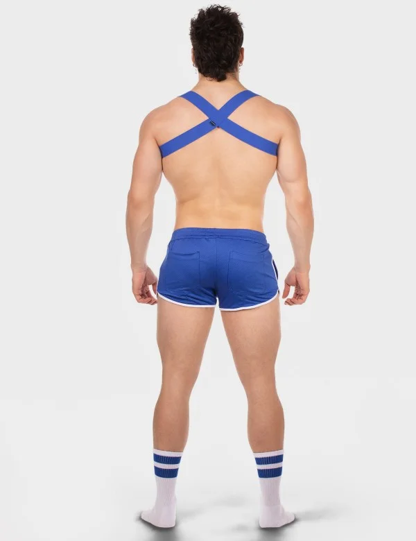 Harness Everette - Royal