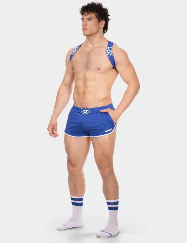 Harness Everette - Royal