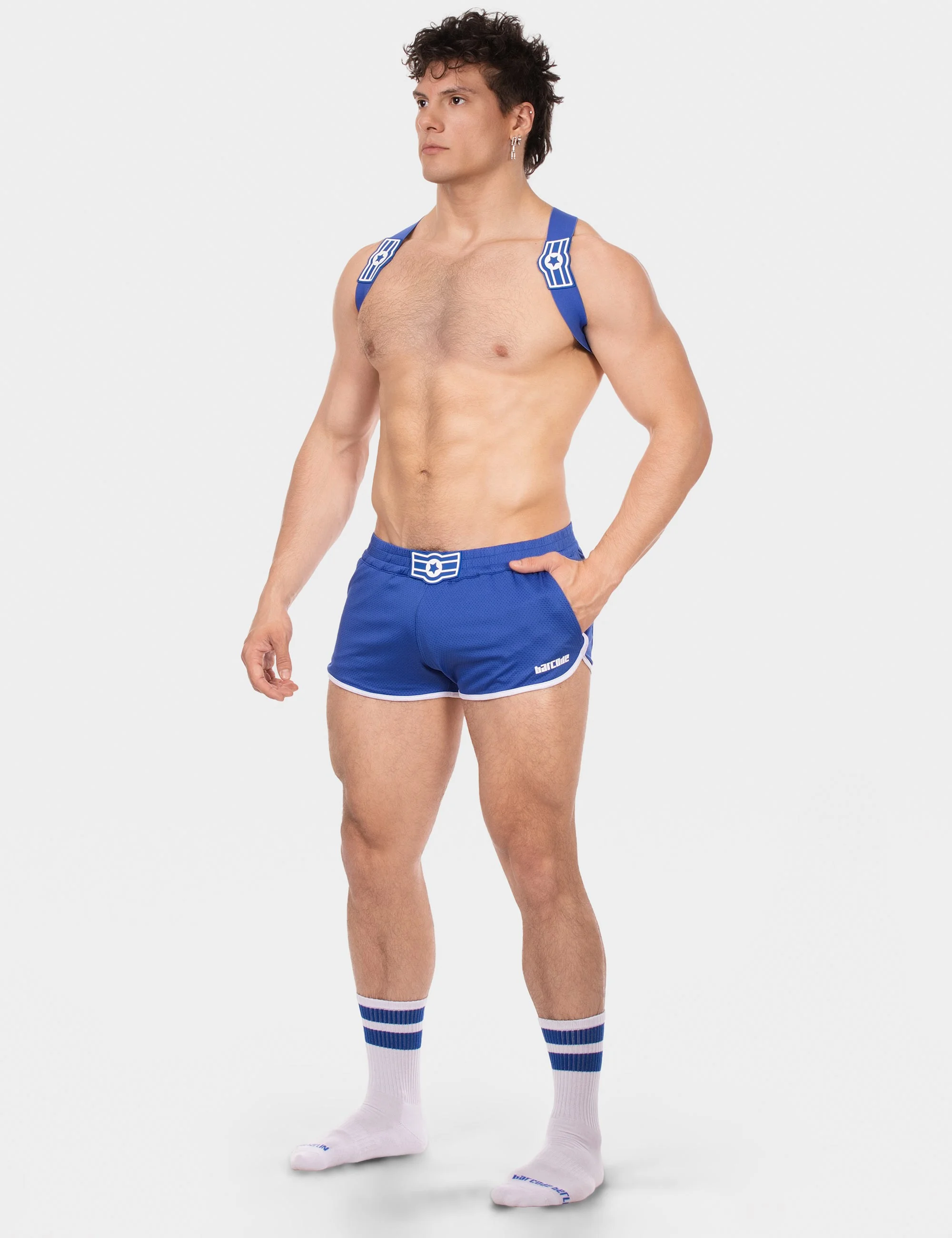 Harness Everette - Royal