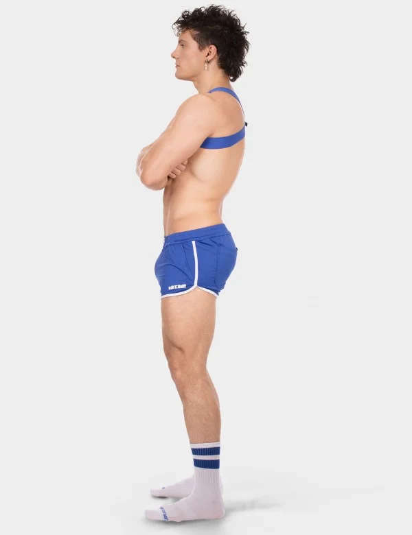 Harness Everette - Royal