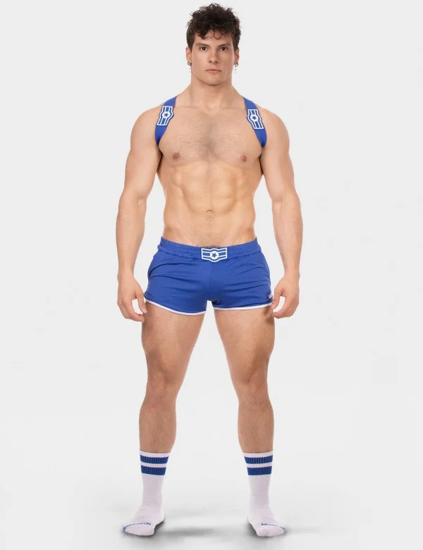 Harness Everette - Royal