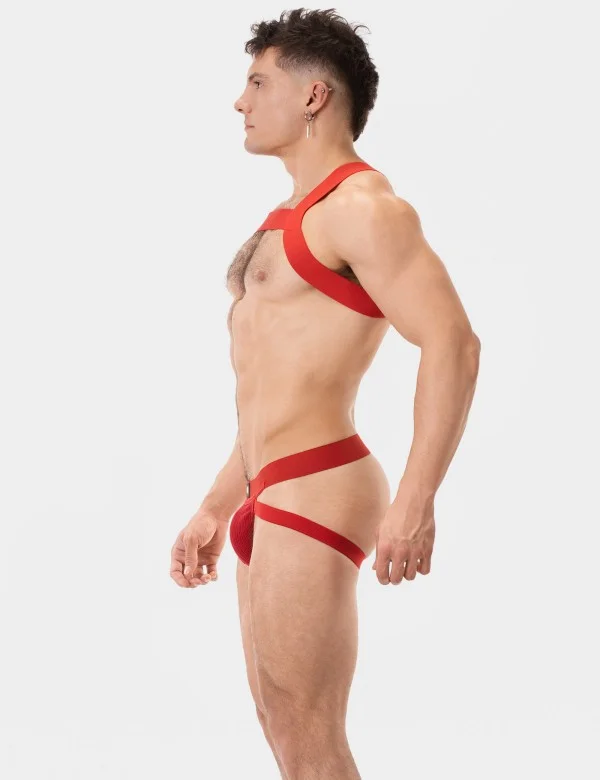 Harness Matt - Red