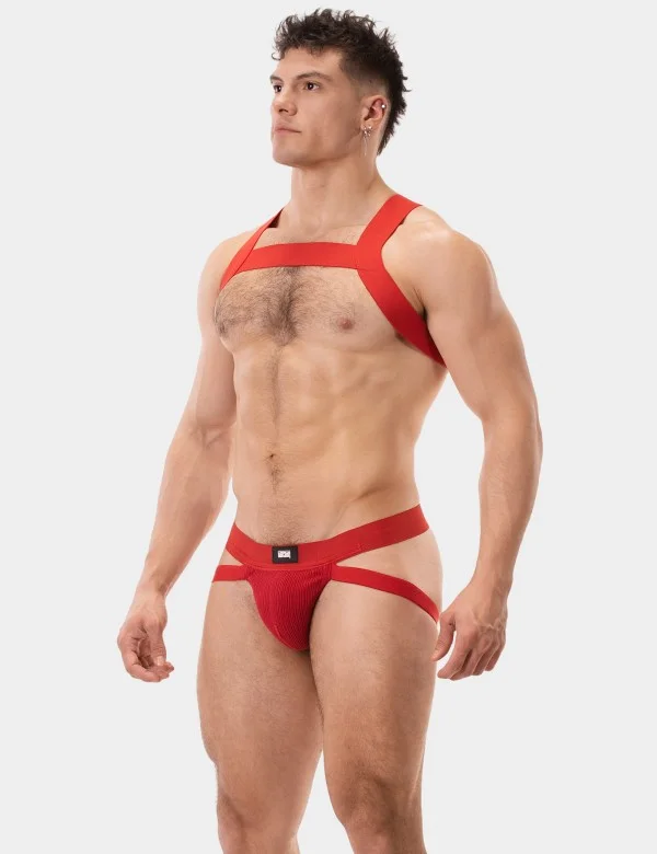 Harness Matt - Red