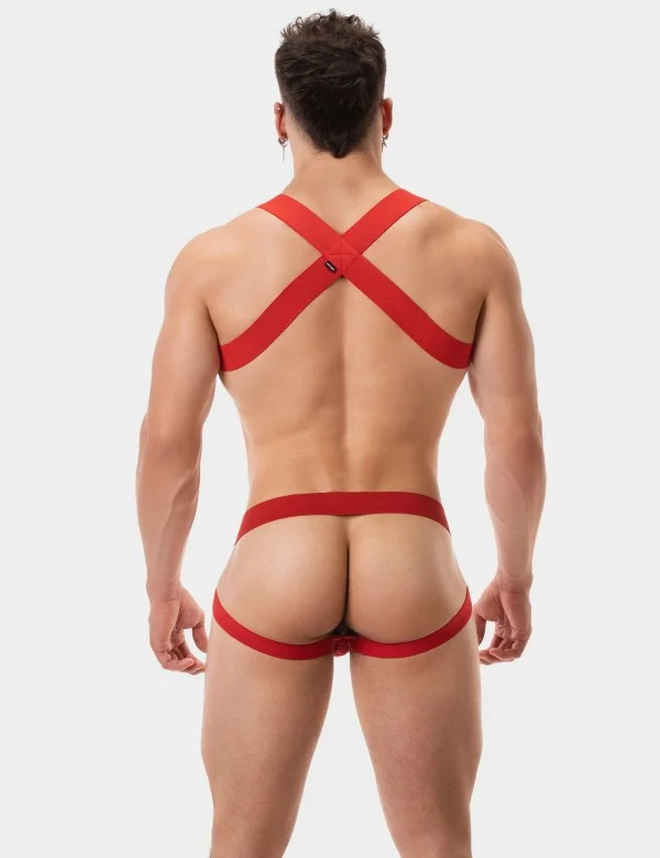 Harness Matt - Red