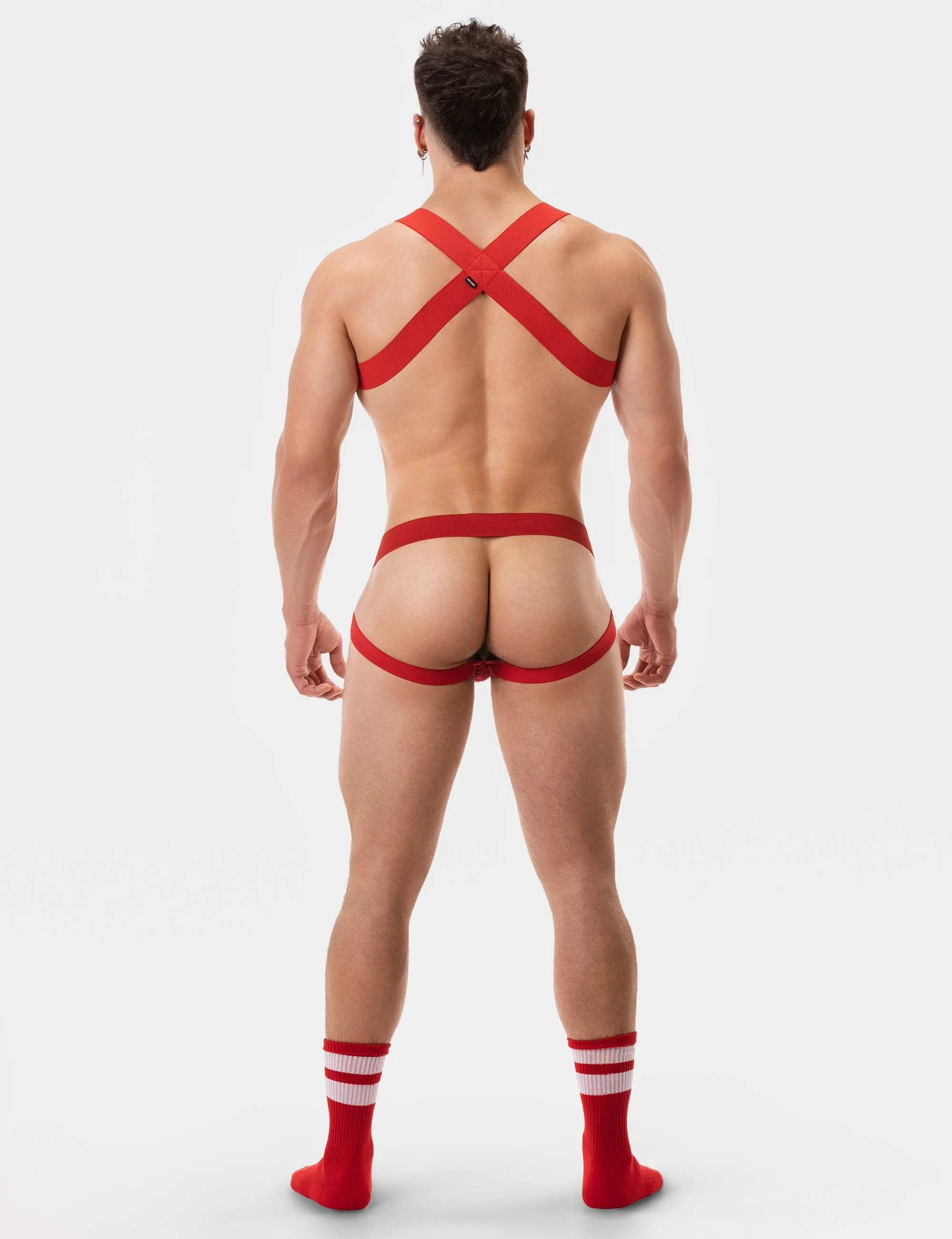 Harness Matt - Red