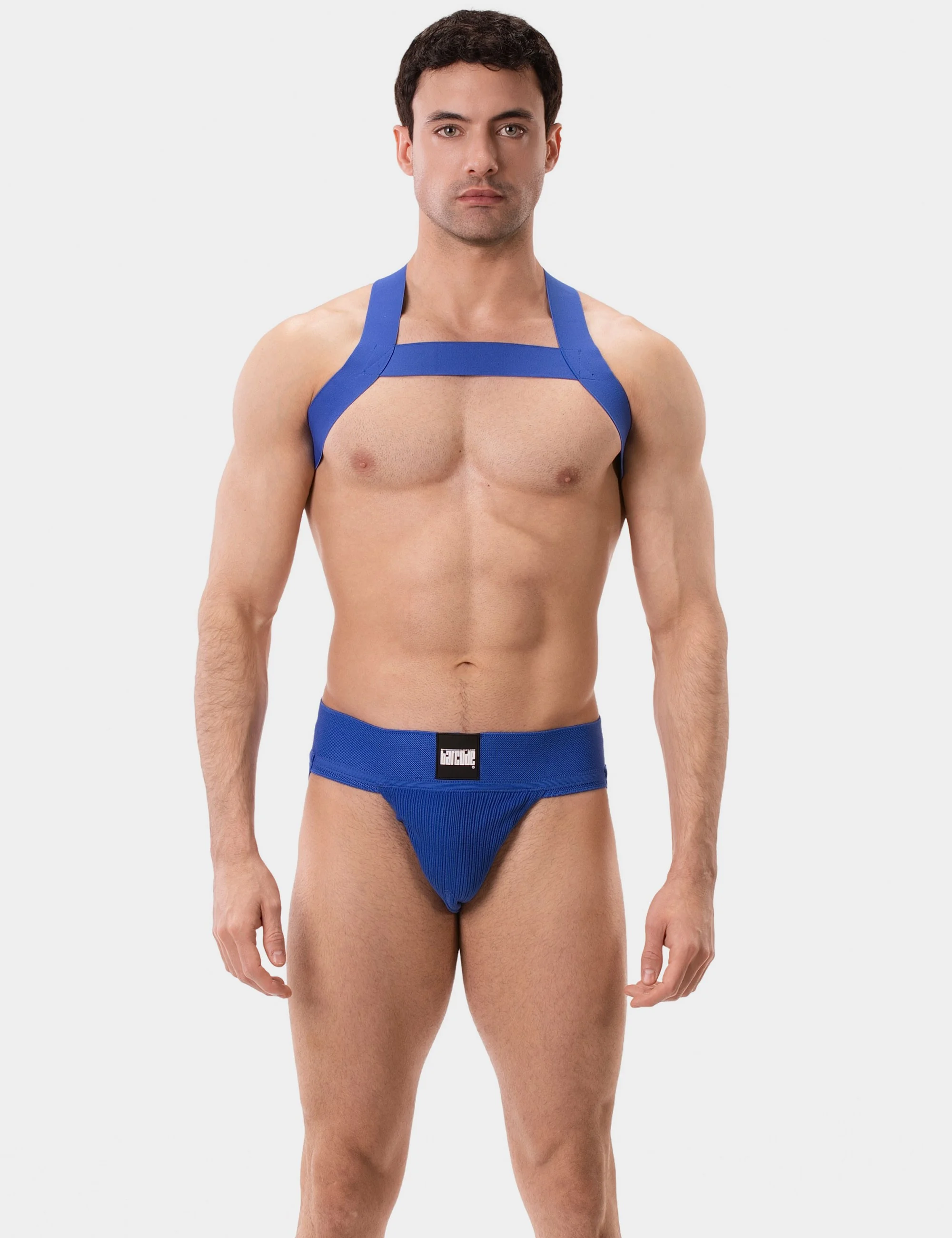 Harness Matt - Royal