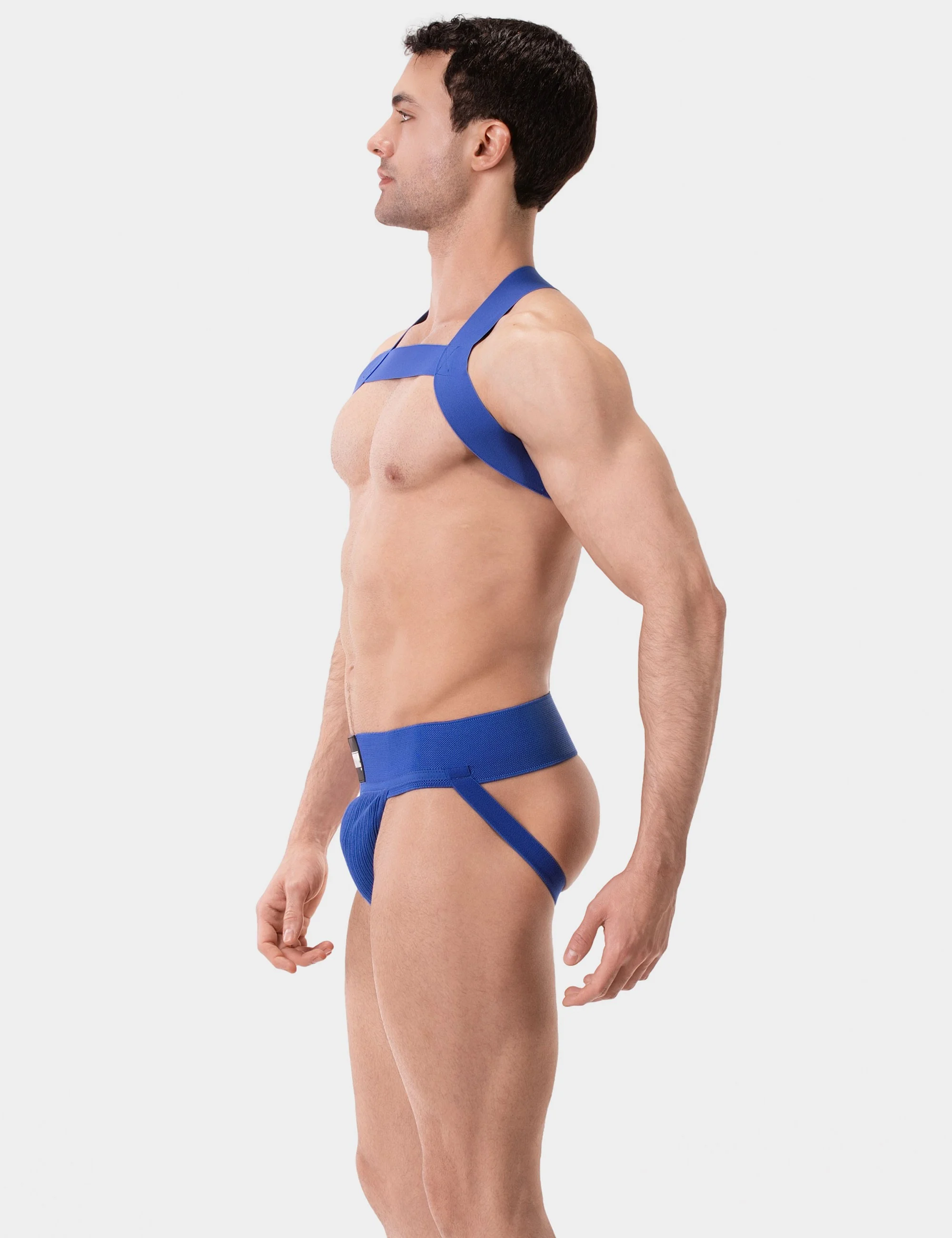 Harness Matt - Royal