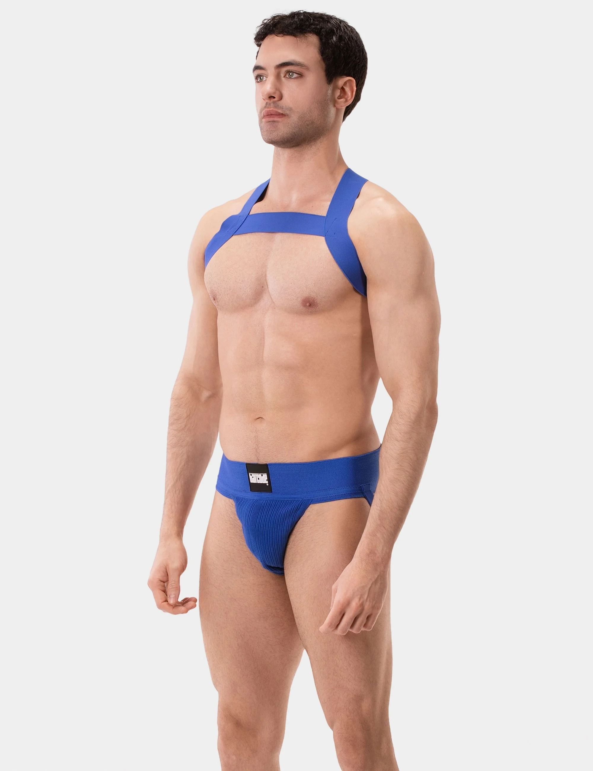 Harness Matt - Royal