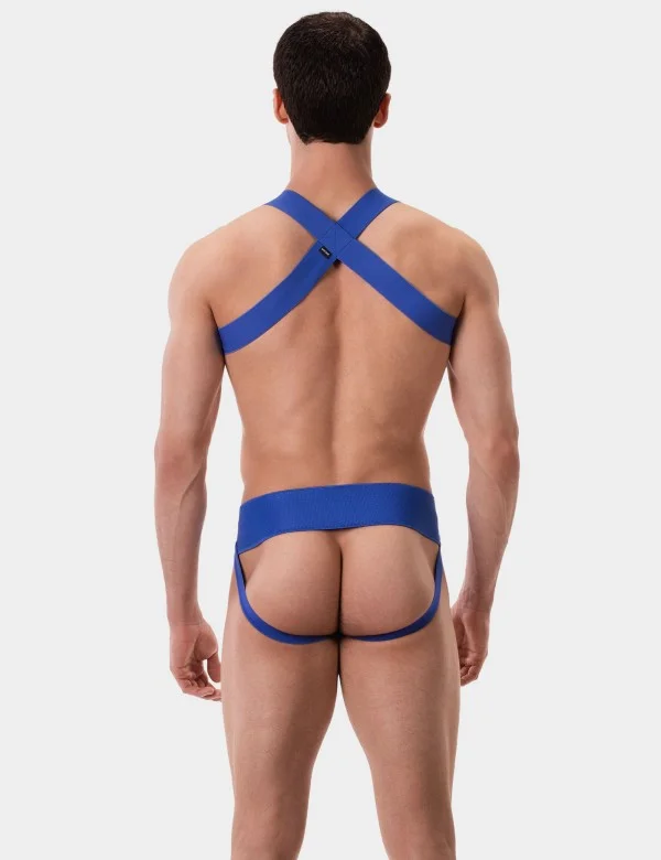 Harness Matt - Royal
