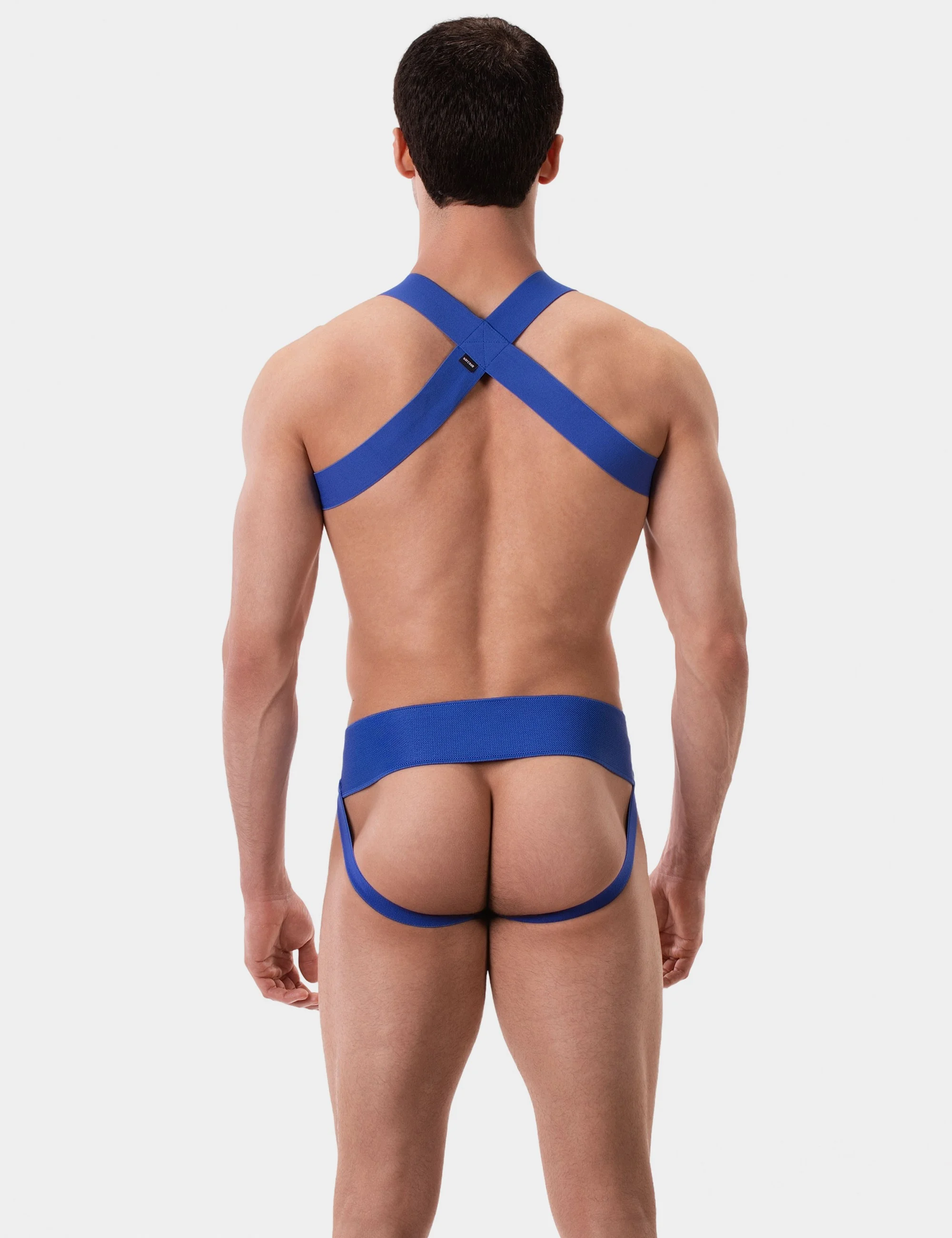 Harness Matt - Royal