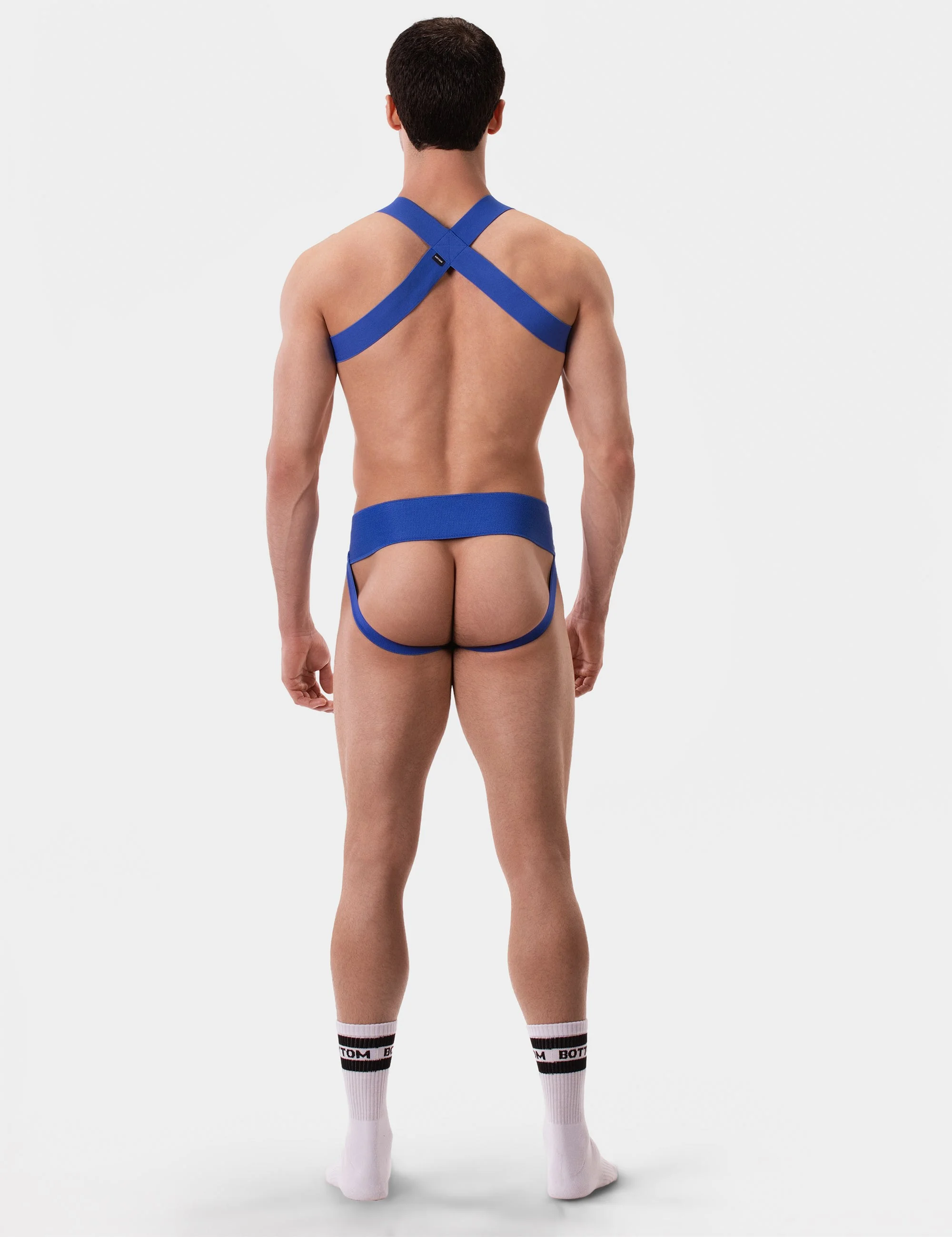Harness Matt - Royal