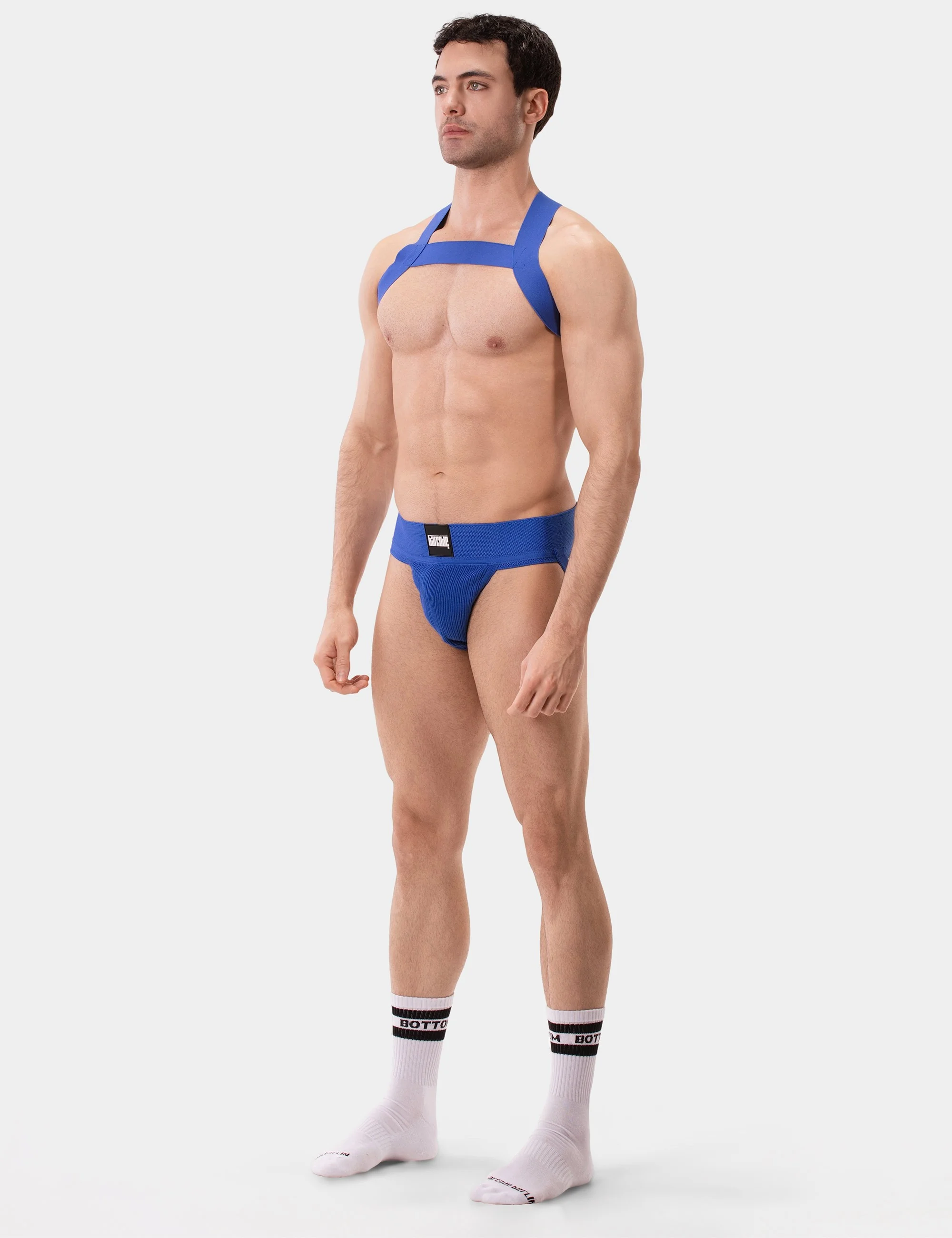 Harness Matt - Royal