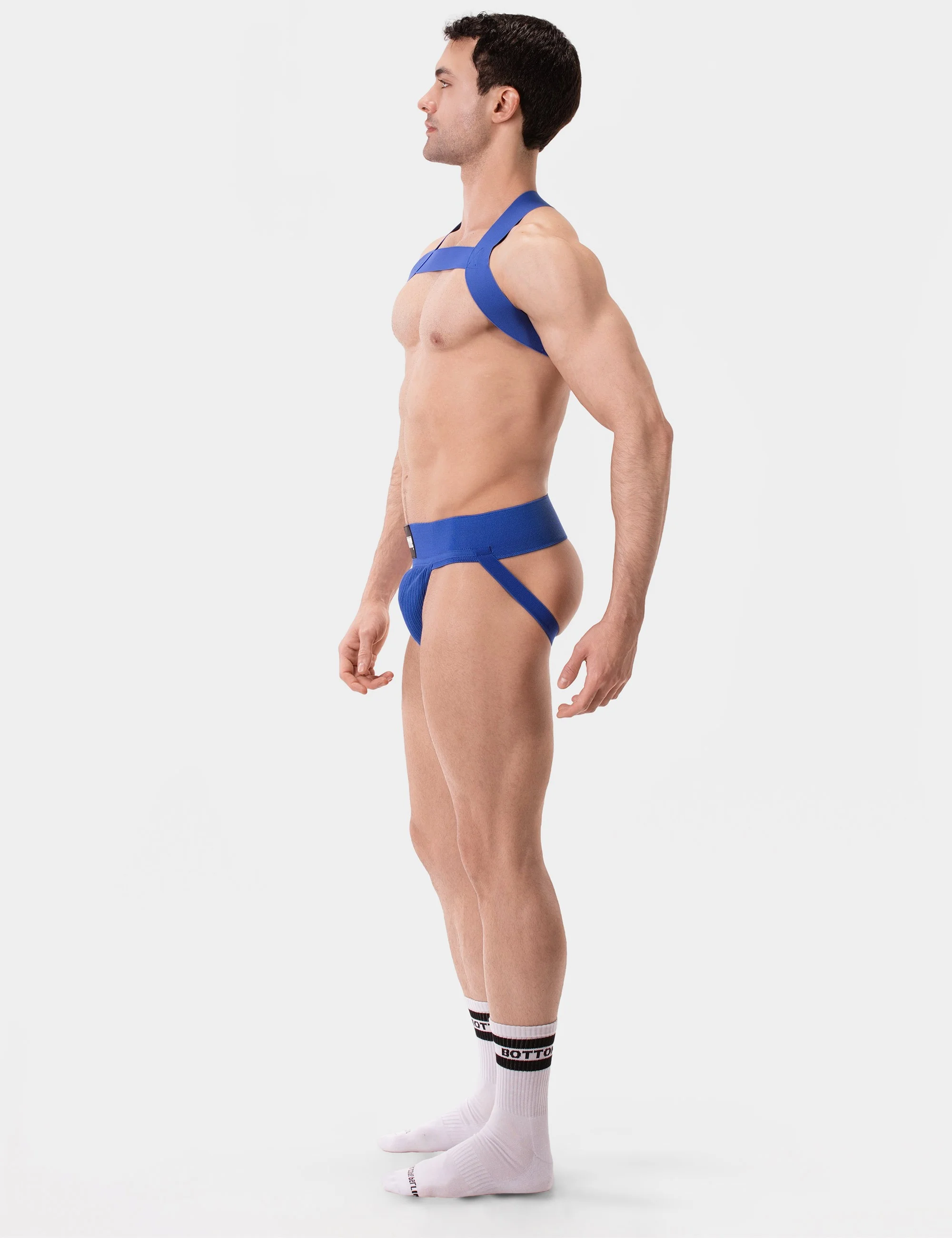 Harness Matt - Royal