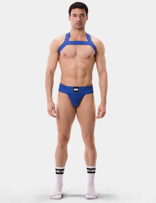 Harness Matt - Royal