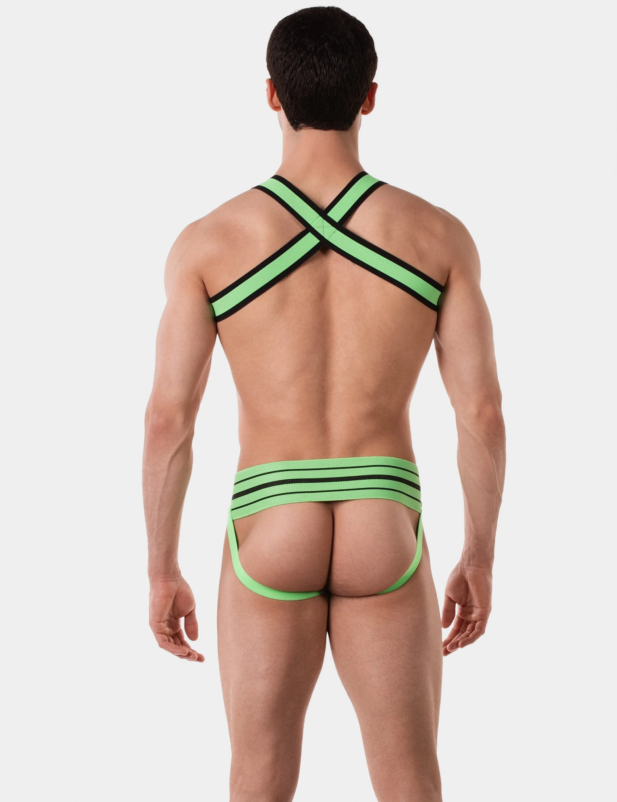 Harness Colin - Green-Black
